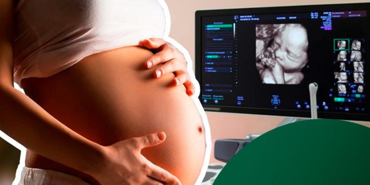 quando o bebê começa a se mexer na barriga da mãe