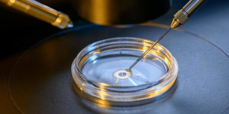 reproducao assistida no sus o que você precisa saber