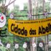 cidade das abelhas é opção de lazer na pandemia para a criançada