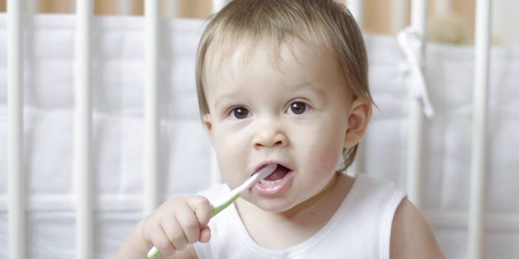 dicas de como escovar os dentinhos dos bebês