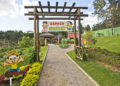 bourbon atibaia resort promove festa junina durante todo o mês