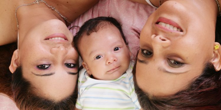 Ninho Solidário