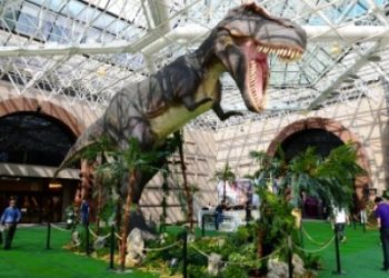 Mundo dos Dinossauros no Morumbi Shopping: confira
