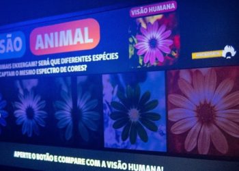 Dia das Crianças em São Paulo oferece passeios culturais