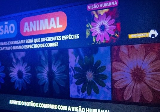 Dia das Crianças em São Paulo oferece passeios culturais