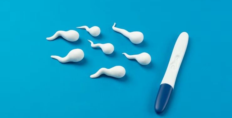 Doação de sêmen: Como é o processo para doar e receber espermatozoides no Brasil