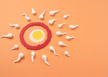 Motilidade dos espermatozoides pode melhorar infertilidade masculina