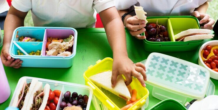 Meu Primeiro Lanche: Programa impulsiona Desenvolvimento em Uruçuí